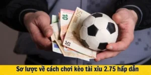 Giải Mã Kèo 2.75 Và Cách Chinh Phục Tỷ Lệ Chấp Sâu Hiệu Quả