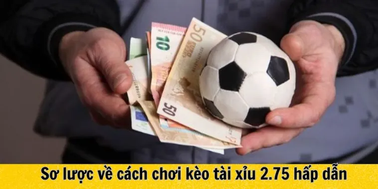 Giải Mã Kèo 2.75 Và Cách Chinh Phục Tỷ Lệ Chấp Sâu Hiệu Quả