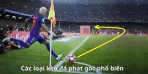 Tìm Hiểu Kèo Phạt Góc Bóng Đá Và Cách Phân Tích Chuyên Nghiệp