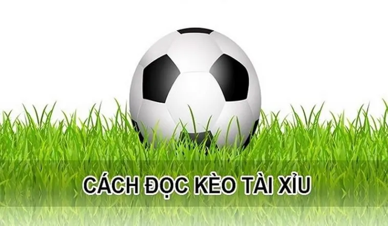 Bí Quyết Chinh Phục Kèo Tài Xỉu Hiệp 1 Luôn Thắng Cho Người Mới