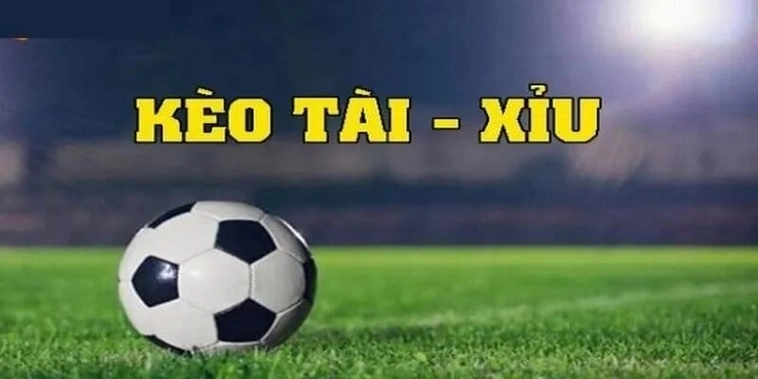 Tổng Quan Về Kèo Tài Xỉu Và Cách Chơi Luôn Đạt Hiệu Quả Cao